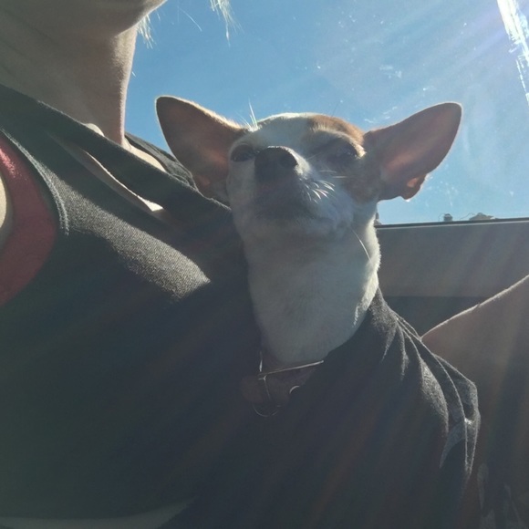 Meet your Posher, Lacey - Picture 1 of 1